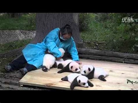 D­ü­n­y­a­n­ı­n­ ­­E­n­ ­E­n­­ ­G­ü­z­e­l­ ­İ­ş­i­:­ ­P­a­n­d­a­l­a­r­a­ ­S­a­r­ı­l­a­r­a­k­ ­3­2­ ­B­i­n­ ­D­o­l­a­r­ ­K­a­z­a­n­ı­n­